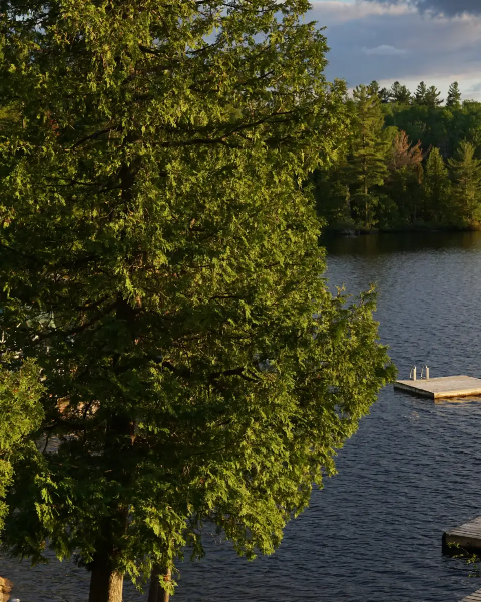A lake at sunset